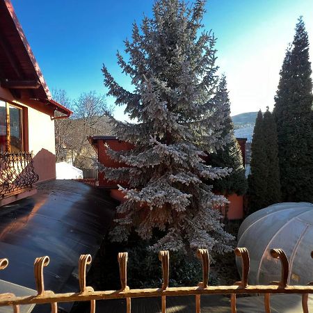 Anadi Hotel Boutique Only Adult Брашов Экстерьер фото